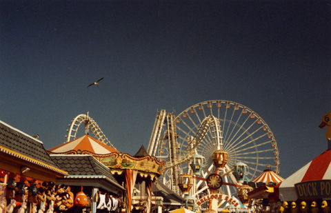 wildwood
