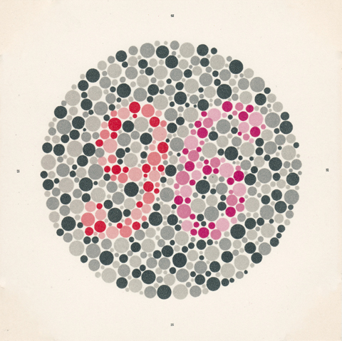 Ishihara_Test_6