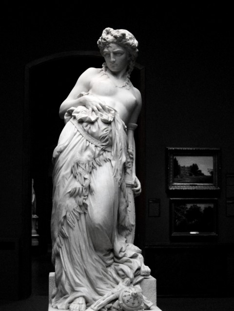 pafa_1